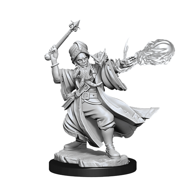 Fifty Off  D&D Frameworks Human Wizard Male Supply