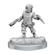 D&D Frameworks Halfling Rogue Male Supply