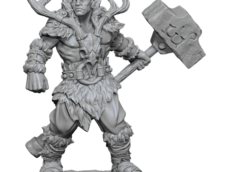 D&D Frameworks Goliath Barbarian Male Online Sale