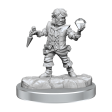 D&D Frameworks Halfling Rogue Male Supply