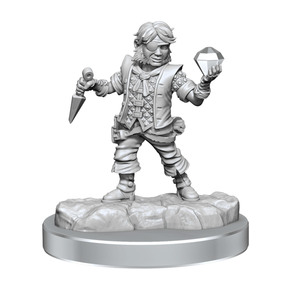 D&D Frameworks Halfling Rogue Male Supply