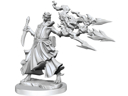 D&D Frameworks Dragonborn Sorcerer Female Online Sale