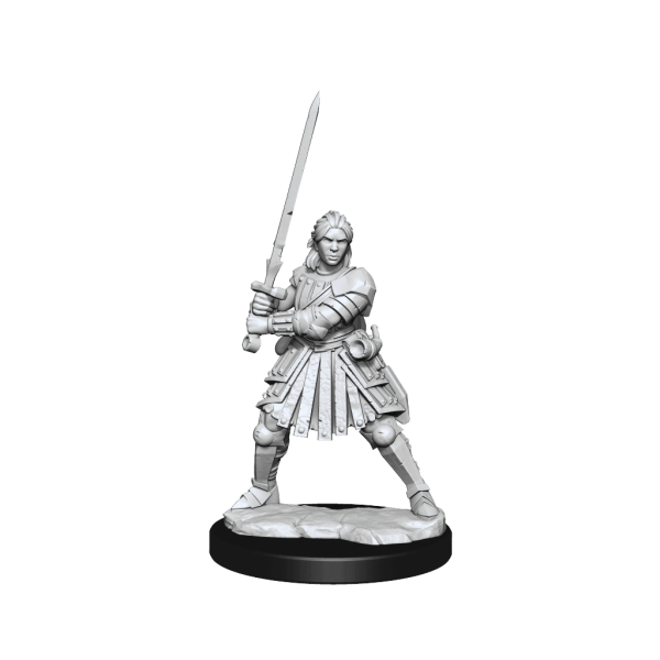 D&D Frameworks Human Fighter Female Online Sale