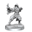 D&D Frameworks Human Monk Male Online now