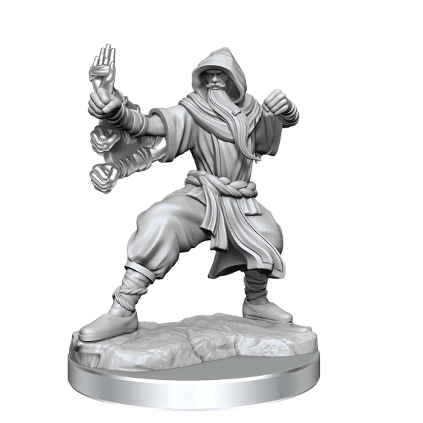 D&D Frameworks Human Monk Male Online now