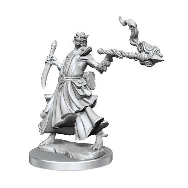 D&D Frameworks Dragonborn Sorcerer Female Online Sale