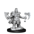 SALE D&D Frameworks Dwarf Barbarian Female For Discount