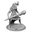 D&D Frameworks Stone Giant Supply