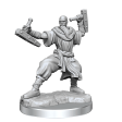 D&D Frameworks Human Monk Male Online now