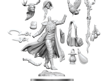 D&D Frameworks Human Druid Female on Sale