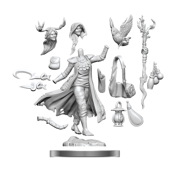 D&D Frameworks Human Druid Female on Sale