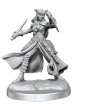 D&D Frameworks Tiefling Rogue Female Online Sale