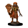 SALE D&D Premium Painted Figures Human Druid Male For Discount