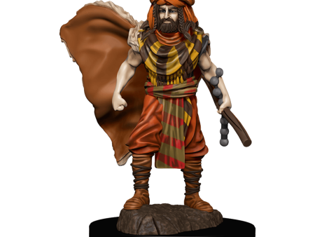 SALE D&D Premium Painted Figures Human Druid Male For Discount