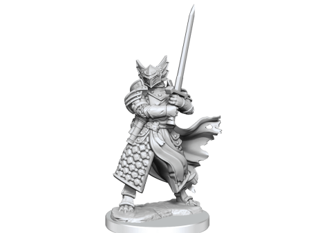 D&D Frameworks Dragonborn Paladin Male For Sale