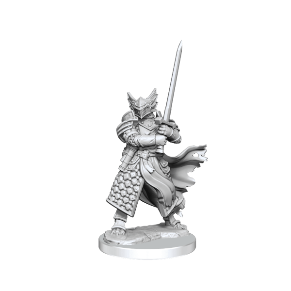 D&D Frameworks Dragonborn Paladin Male For Sale