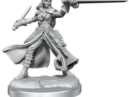 D&D Frameworks Tiefling Rogue Female Online Sale