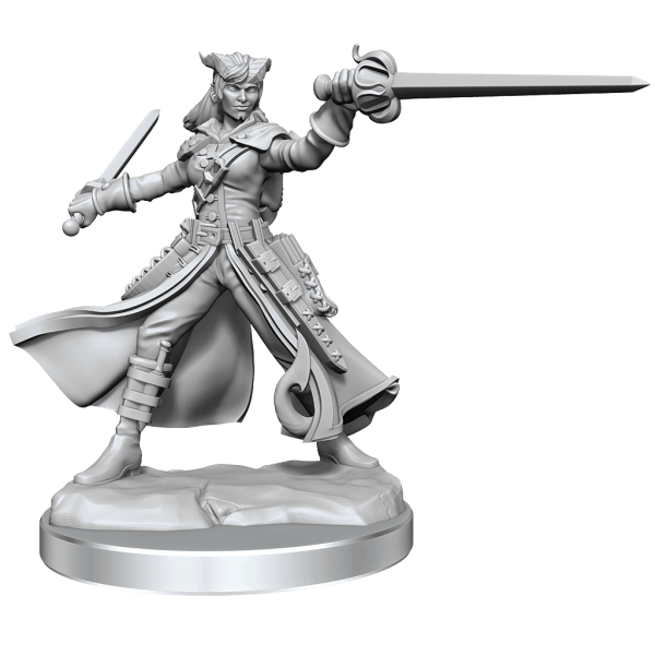 D&D Frameworks Tiefling Rogue Female Online Sale