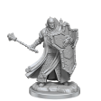 D&D Frameworks Human Cleric Male Online