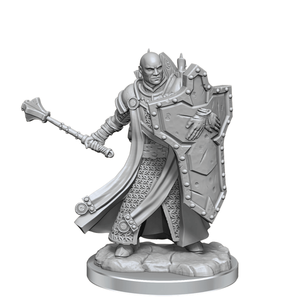 D&D Frameworks Human Cleric Male Online