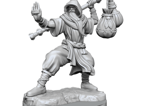 D&D Frameworks Human Monk Male Online now