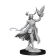 D&D Frameworks Human Druid Female on Sale