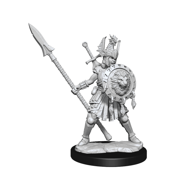 D&D Frameworks Human Fighter Female Online Sale