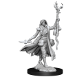 D&D Frameworks Human Druid Female on Sale