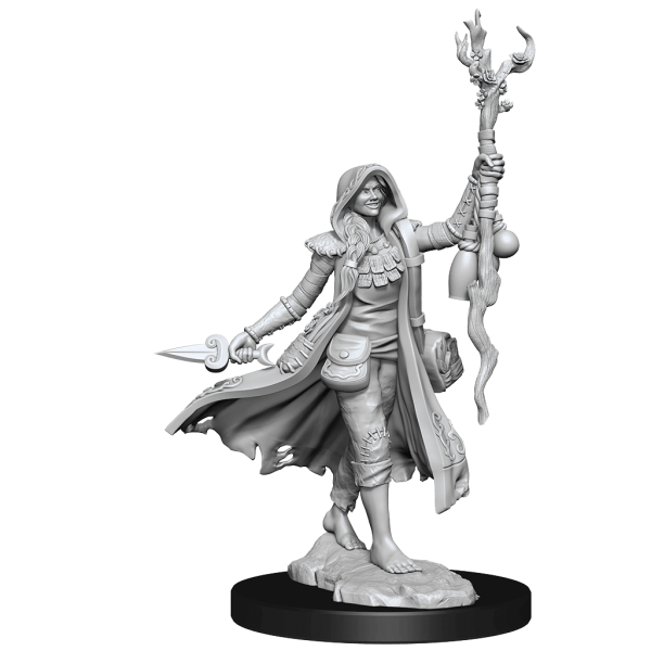 D&D Frameworks Human Druid Female on Sale